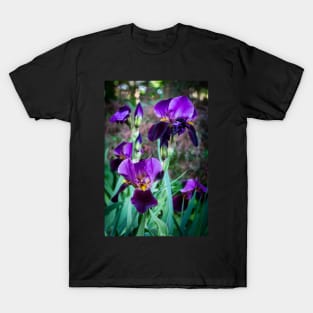 Garden Iris 6 T-Shirt